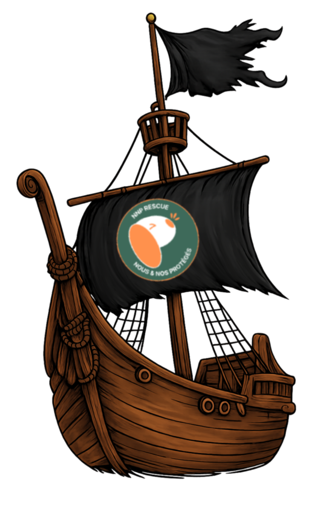 copie de la box du capitaine (1280 x 2000 px)(15)