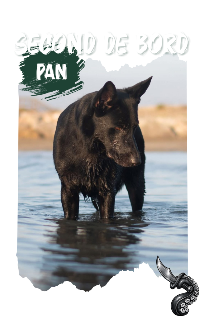 copie de la box du capitaine (1280 x 2000 px)(5)