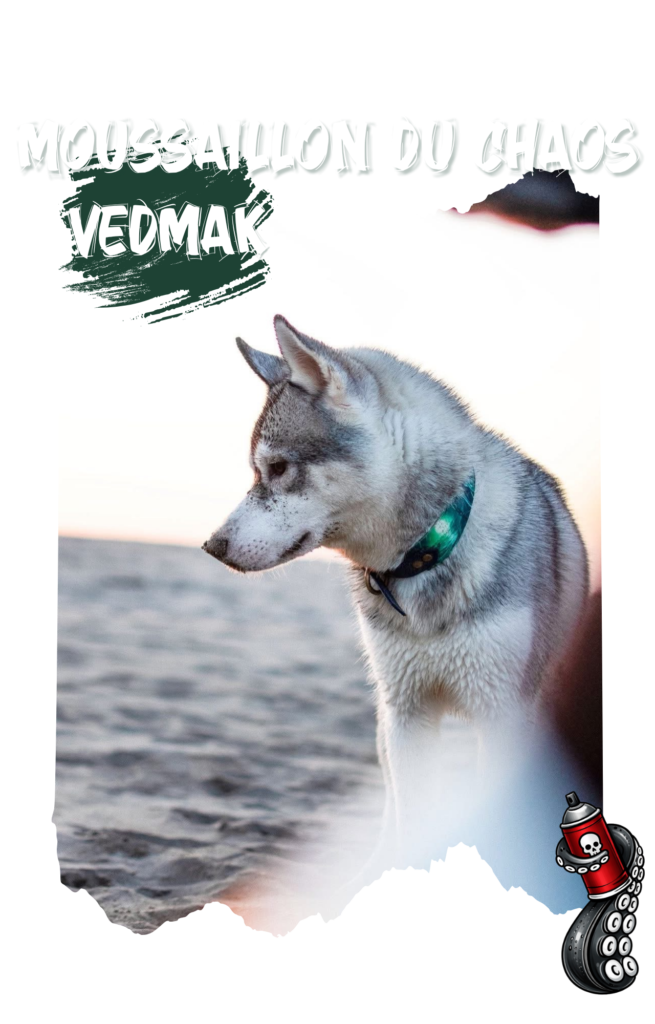 copie de la box du capitaine (1280 x 2000 px)(7)