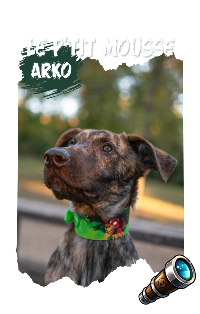 copie de la box du capitaine (1280 x 2000 px)(8)