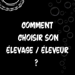 choix de leleveur 1