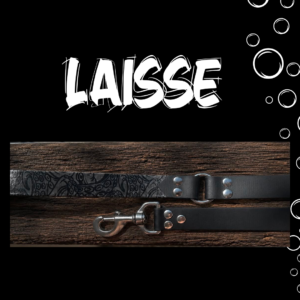 kraken laisse