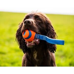 Chuckit Tug