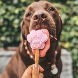 Smoofl - Kit Glace