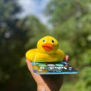 Canard Flottant
