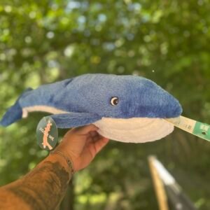 Sylvia la baleine