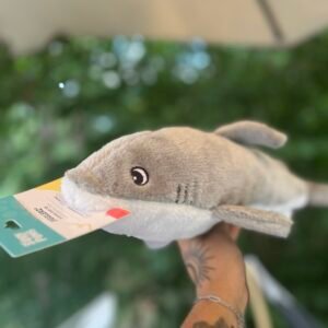 Gabin le Requin