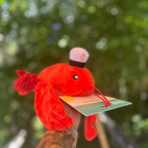 Bernard le Homard 🦞