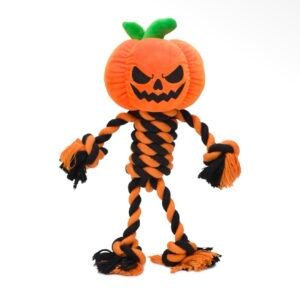 Citrouille 🎃